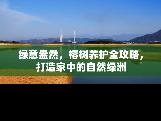 绿意盎然，榕树养护全攻略，打造家中的自然绿洲