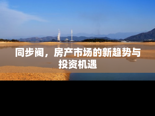 同步阀，房产市场的新趋势与投资机遇