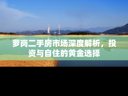 萝岗二手房市场深度解析，投资与自住的黄金选择