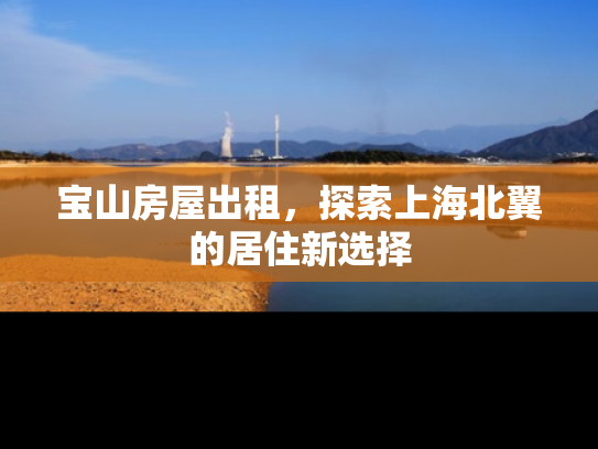 宝山房屋出租，探索上海北翼的居住新选择