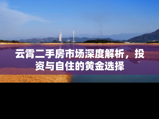 云霄二手房市场深度解析，投资与自住的黄金选择