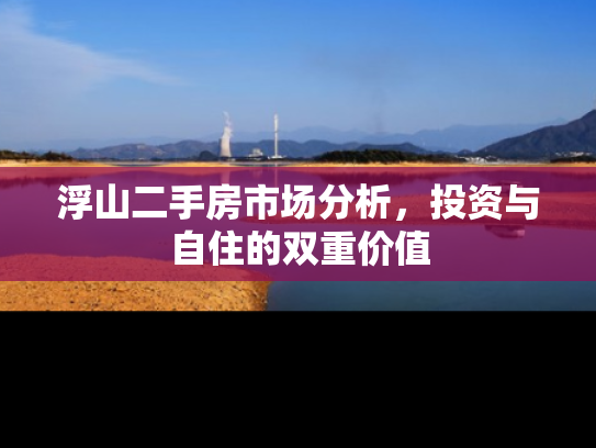 浮山二手房市场分析，投资与自住的双重价值