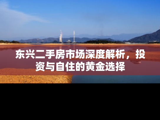 东兴二手房市场深度解析，投资与自住的黄金选择