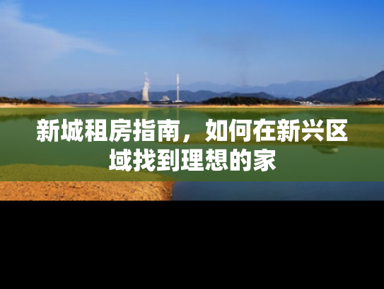 新城租房指南，如何在新兴区域找到理想的家