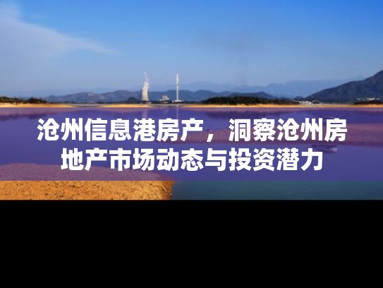 沧州信息港房产，洞察沧州房地产市场动态与投资潜力