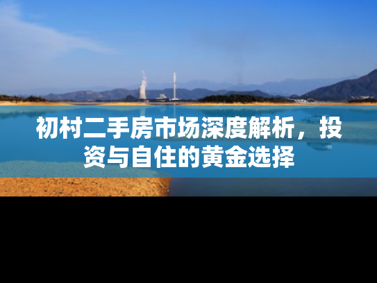初村二手房市场深度解析，投资与自住的黄金选择