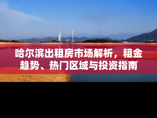 哈尔滨出租房市场解析，租金趋势、热门区域与投资指南