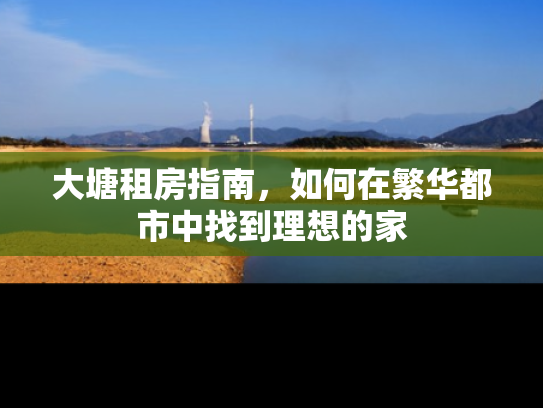 大塘租房指南，如何在繁华都市中找到理想的家