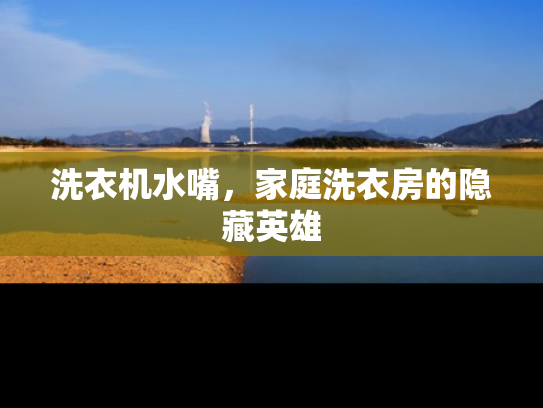洗衣机水嘴，家庭洗衣房的隐藏英雄