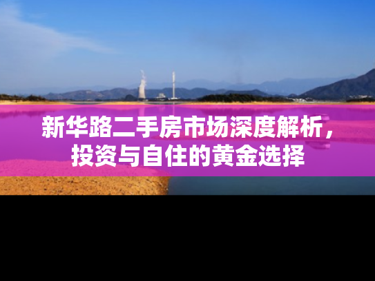 新华路二手房市场深度解析，投资与自住的黄金选择