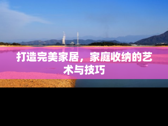 打造完美家居，家庭收纳的艺术与技巧