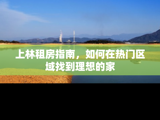 上林租房指南，如何在热门区域找到理想的家
