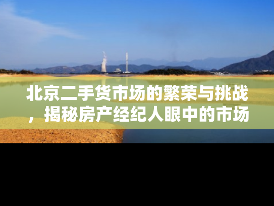 北京二手货市场的繁荣与挑战，揭秘房产经纪人眼中的市场动态