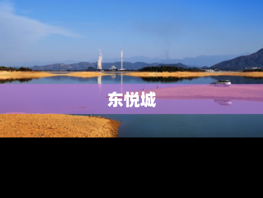 东悦城