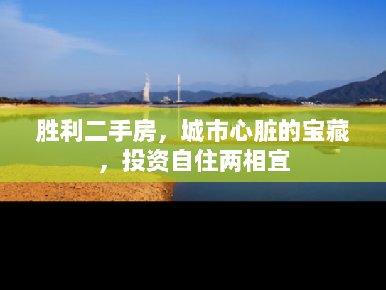 胜利二手房，城市心脏的宝藏，投资自住两相宜