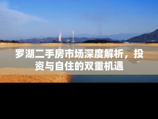 罗湖二手房市场深度解析，投资与自住的双重机遇