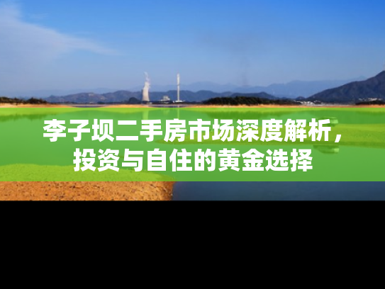 李子坝二手房市场深度解析，投资与自住的黄金选择