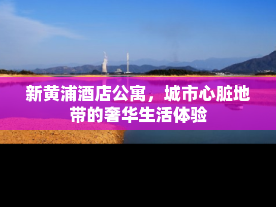 新黄浦酒店公寓，城市心脏地带的奢华生活体验