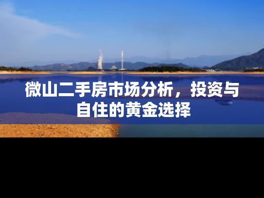 微山二手房市场分析，投资与自住的黄金选择