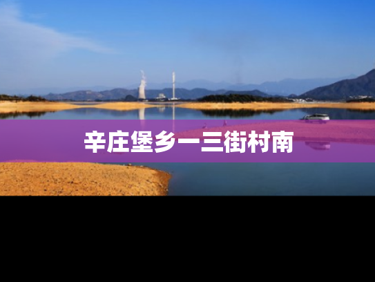 辛庄堡乡一三街村南