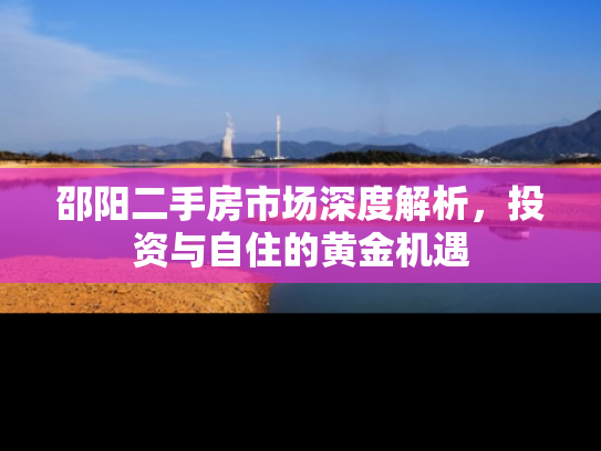 邵阳二手房市场深度解析，投资与自住的黄金机遇