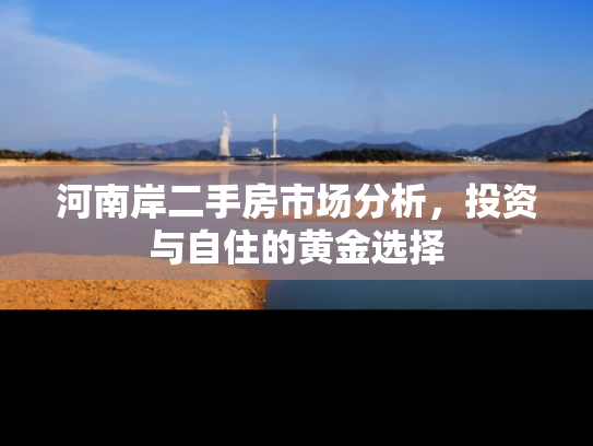 河南岸二手房市场分析，投资与自住的黄金选择