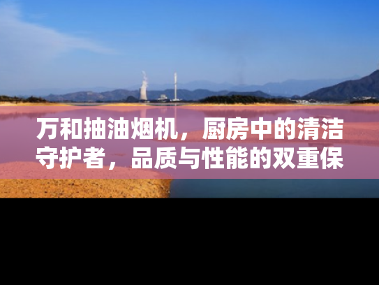 万和抽油烟机，厨房中的清洁守护者，品质与性能的双重保证