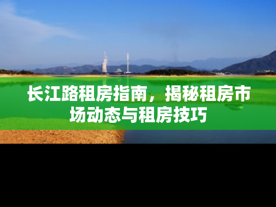 长江路租房指南，揭秘租房市场动态与租房技巧