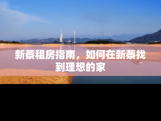 新蔡租房指南，如何在新蔡找到理想的家