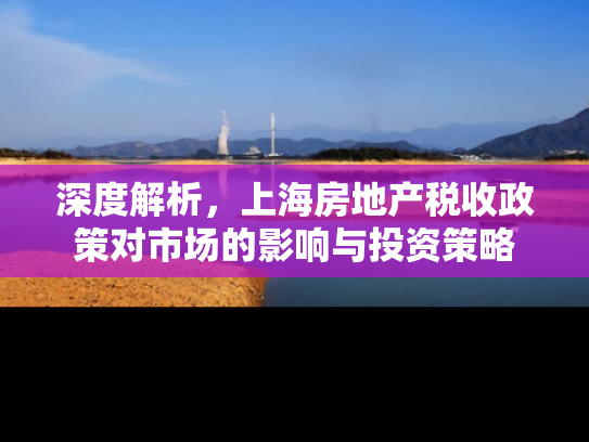 深度解析，上海房地产税收政策对市场的影响与投资策略