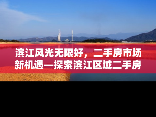 滨江风光无限好，二手房市场新机遇—探索滨江区域二手房的潜力与价值