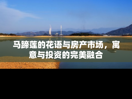 马蹄莲的花语与房产市场，寓意与投资的完美融合