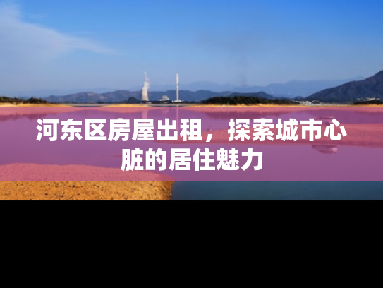 河东区房屋出租，探索城市心脏的居住魅力
