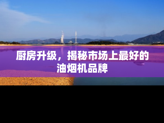 厨房升级，揭秘市场上最好的油烟机品牌