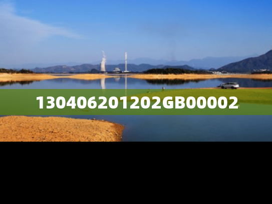 130406201202GB00002