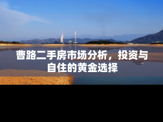 曹路二手房市场分析，投资与自住的黄金选择