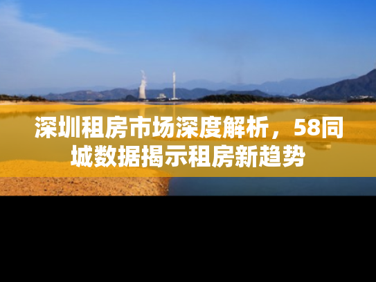深圳租房市场深度解析，58同城数据揭示租房新趋势