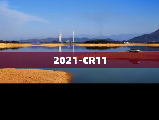 2021-CR11