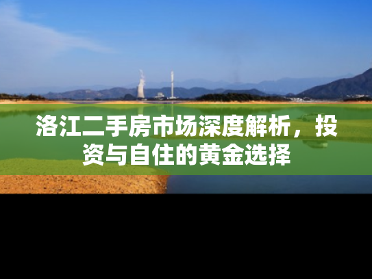 洛江二手房市场深度解析,投资与自住的黄金选择 洛江二手房市场深度解析,投资与自住的黄金选择