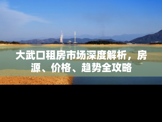 大武口租房市场深度解析，房源、价格、趋势全攻略