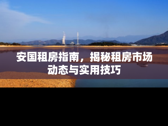 安国租房指南，揭秘租房市场动态与实用技巧