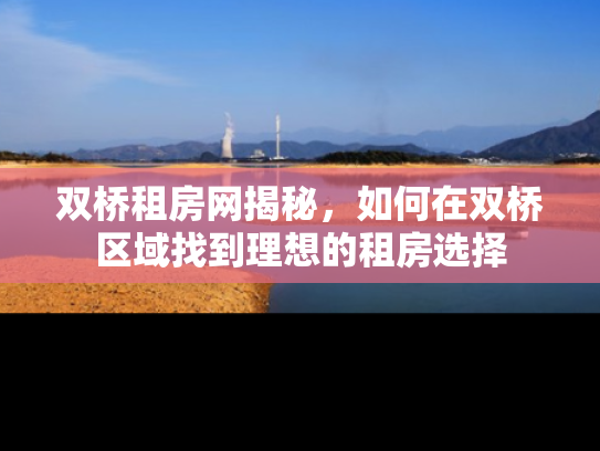 双桥租房网揭秘，如何在双桥区域找到理想的租房选择