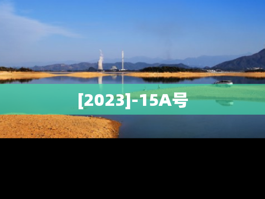 [2023]-15A号
