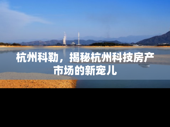 杭州科勒，揭秘杭州科技房产市场的新宠儿