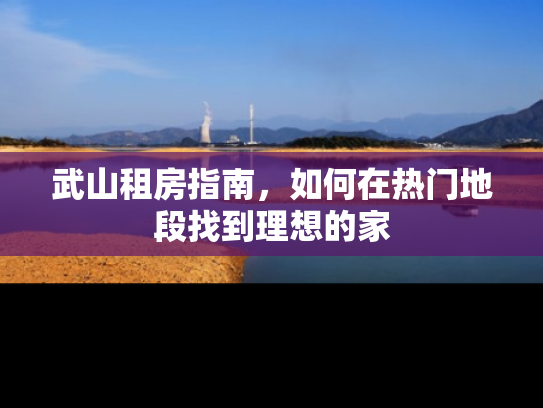 武山租房指南,如何在热门地段找到理想的家 武山租房指南,如何在热门地段找到理想的家