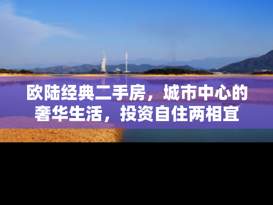 欧陆经典二手房，城市中心的奢华生活，投资自住两相宜