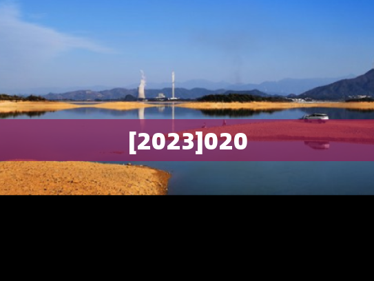 [2023]020