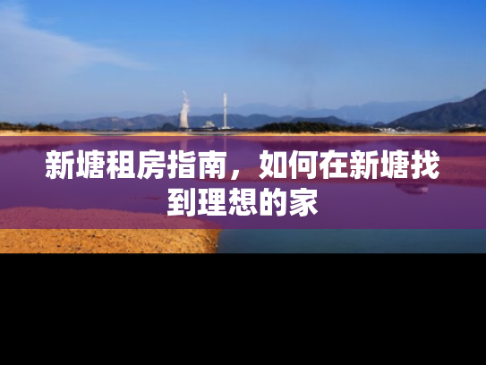 新塘租房指南，如何在新塘找到理想的家