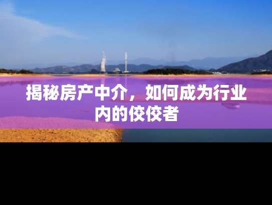 揭秘房产中介，如何成为行业内的佼佼者