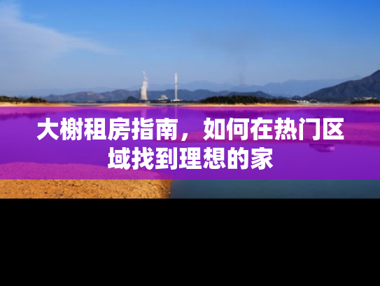 大榭租房指南，如何在热门区域找到理想的家
